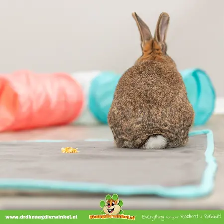 Trixie Konijnen Tunnel T-Splitsing 47 cm voor Cavia’s, Ratten & Fretten