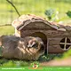 Trixie Trixie House Hanna Brown 26 cm Bark Wood House