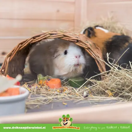 Trixie Gevlochten Wilgenbrug