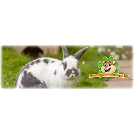 Trixie Kaninchenhaus mit grau-grünem Asphalt-Dach, 50 cm, für Meerschweinchen und Kaninchen