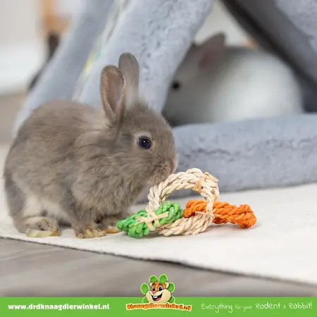 Trixie Spielringe Maisblätter 15 cm