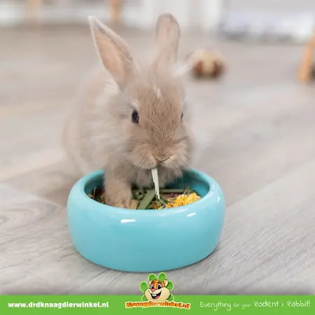 Trixie Keramik-Futternapf 13 cm