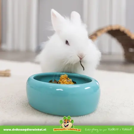 Trixie Ceramic feeding bowl 13 cm