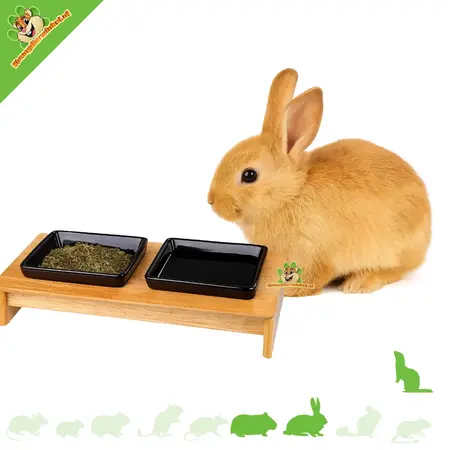 Trixie Voerbak & Waterbak Zwart Deluxe Hout 28 cm