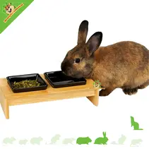 houten voer- en waterbak Deluxe zwart 28 cm