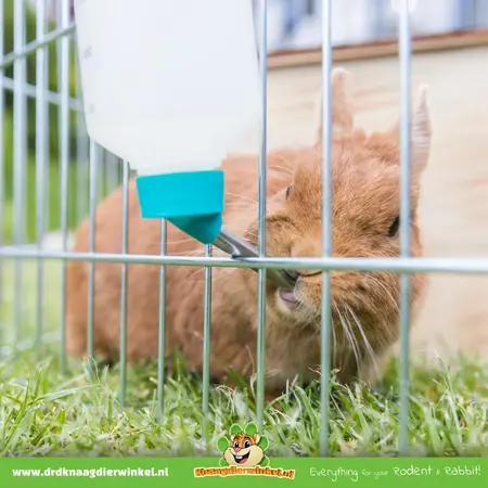 Trixie Plastic Drinking Bottle for Rodents and Rabbits