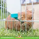 Trixie Plastikowa butelka do picia dla gryzoni i królików
