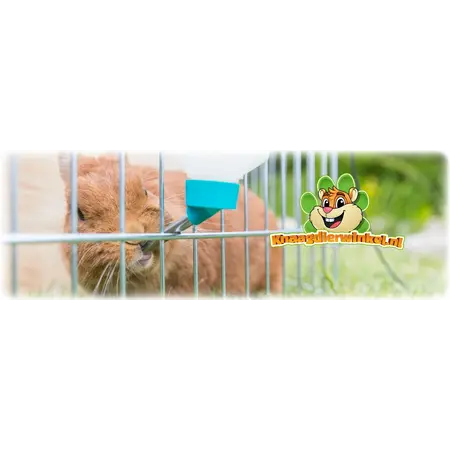 Trixie Plastic Drinking Bottle for Rodents and Rabbits