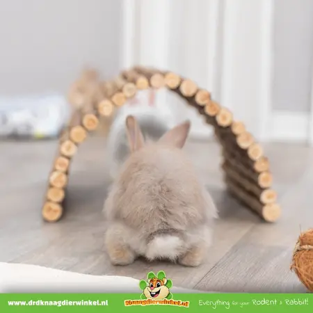 Trixie Trixie Willow Bridge für Nagetiere, Kaninchen und Frettchen!