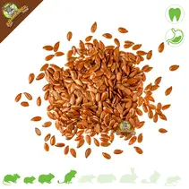 Flax seed