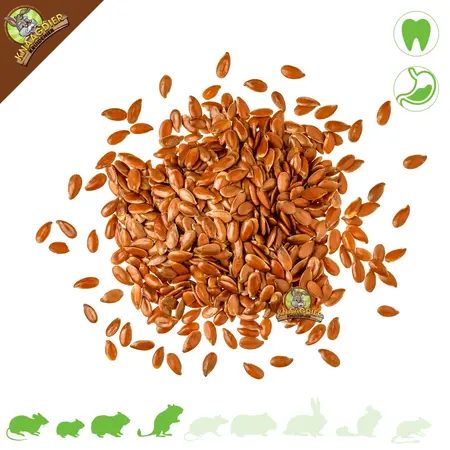 Knaagdier Kruidenier Flaxseed for Rodents