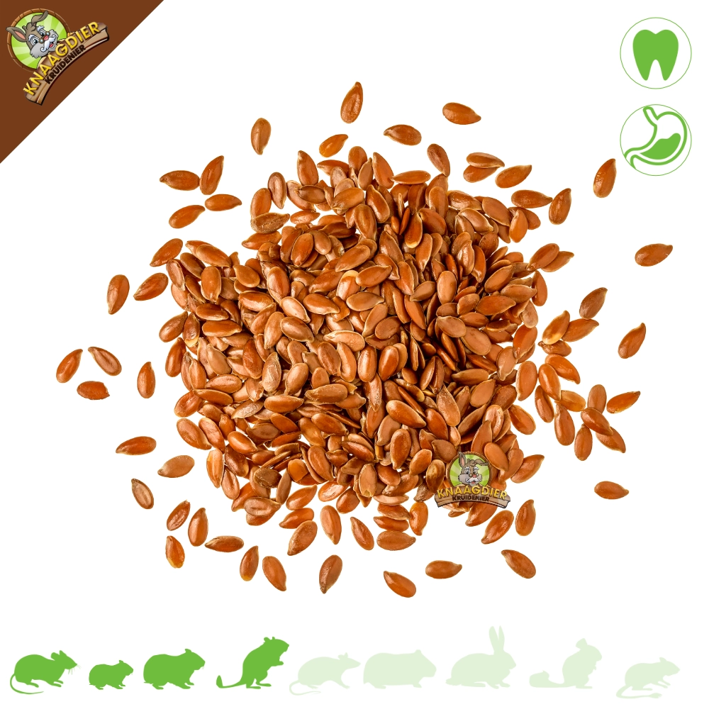 Knaagdier Kruidenier Semilla de lino para roedores