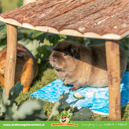 Trixie Plateau en bois