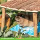 Trixie Holztablett 30 & 45 cm für Nagetiere und Kaninchen