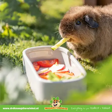 Trixie Langer Futternapf/Wassernapf aus Keramik, 22 cm