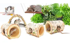 Ratas enanas: jardinería de ratas