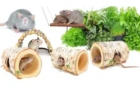 Aménagement paysager pour rats