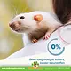 Beaphar Care+ Rat 1,5 kg – granulki karmy dla szczurów (ekstrudat all-in-one)