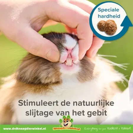 Beaphar Care Plus Rabbit Kaninchenfutter