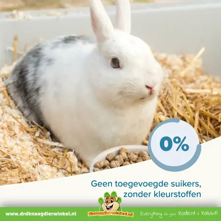 Beaphar Karma dla królików Beaphar Care+ Rabbit – granulki typu „wszystko w jednym” o wysokiej zawartości błonnika (25% błonnika)