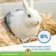 Beaphar Karma dla królików Beaphar Care+ Rabbit – granulki typu „wszystko w jednym” o wysokiej zawartości błonnika (25% błonnika)