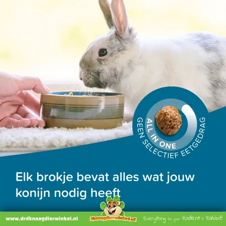 Beaphar Karma dla królików Beaphar Care+ Rabbit – granulki typu „wszystko w jednym” o wysokiej zawartości błonnika (25% błonnika)