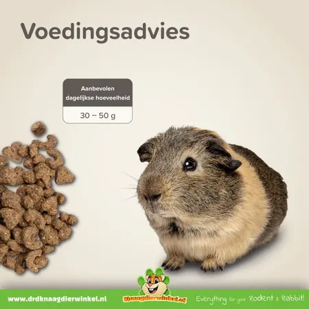 Beaphar Care Plus Guinea Pig Food - Healthy Guinea Pig Food