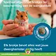 Beaphar Aliment complet en granulés pour hamsters nains Care+