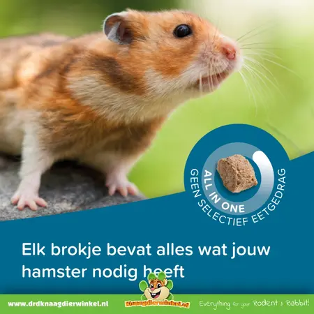 Beaphar Karma dla chomików Care Plus Hamster 700 gramów