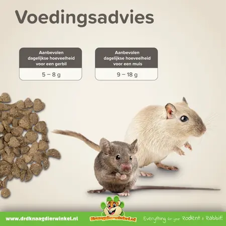 Beaphar Care Plus Nourriture pour souris et gerbilles 500 grammes