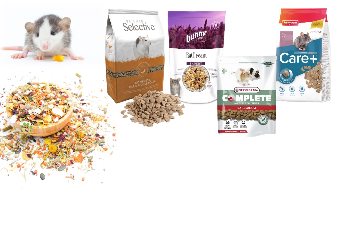 Futter für Zwergratten – DRD Nagerladen