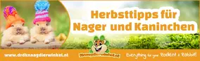 Herbsttipps für Nagetiere und Kaninchen