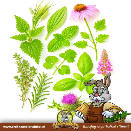 Knaagdier Kruidenier Pellets Herbal Explosion Mix: disfrute natural para su roedor