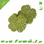 Four-Leaf Clover Fortune Cookie – Natural Chewing Fun for Rodents & Rabbits