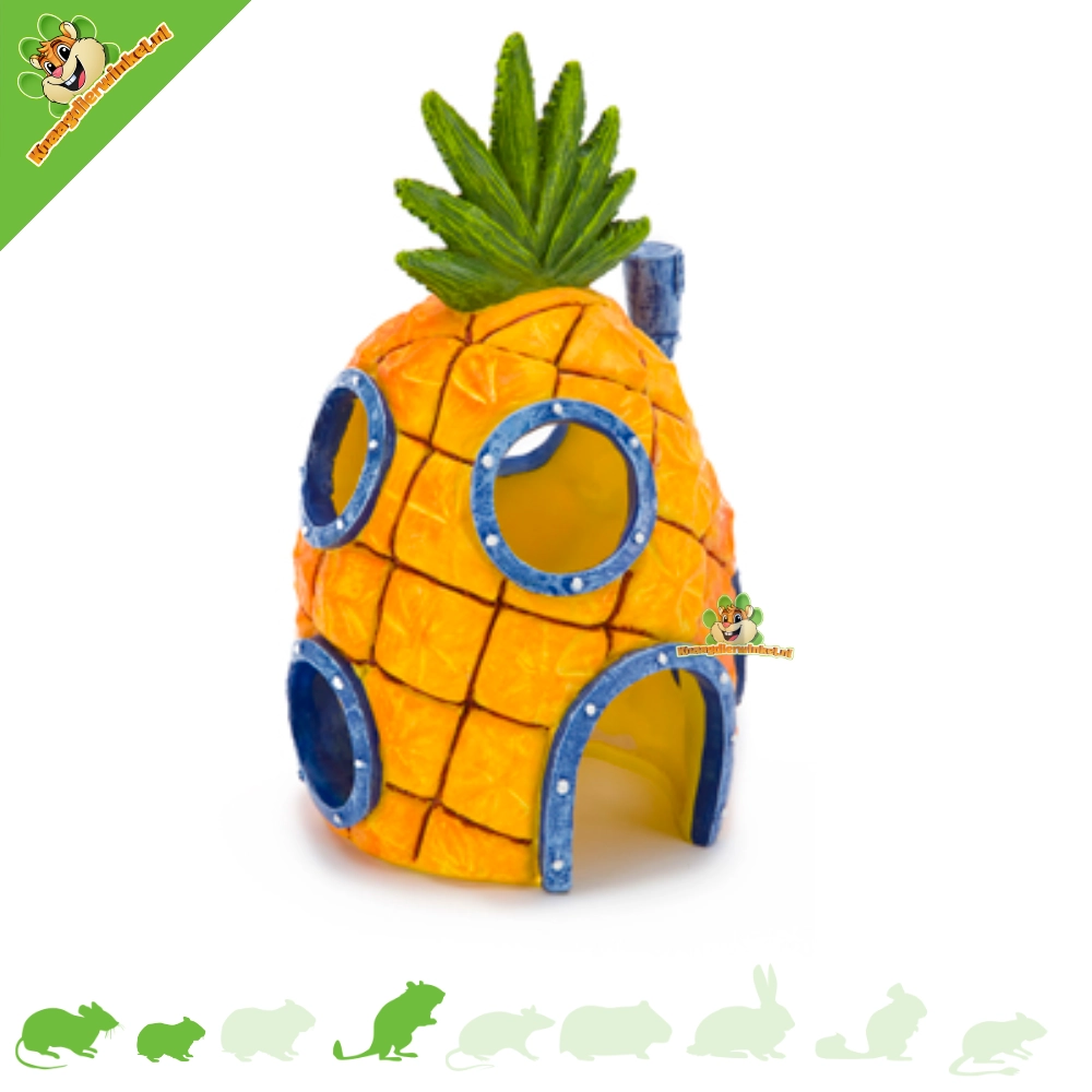 SpongeBob Hamsterscaping – wyjątkowa dekoracja i kryjówki dla małych gryzoni
