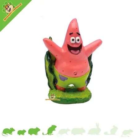 Aménagement hamster Bob l'éponge : décorations et cachettes uniques pour petits rongeurs