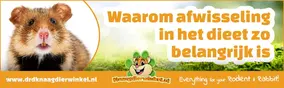 Waarom afwisseling in het hamsterdieet zo belangrijk is