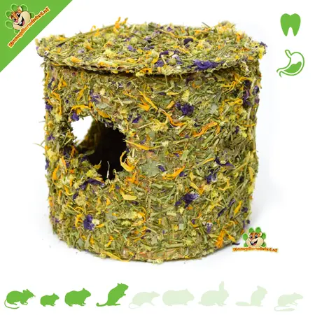 Maison d'herbes aromatiques avec fleurs