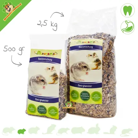 Podstawowe menu chomika karłowatego Karma dla chomika karłowatego