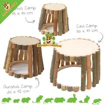 Campamento de la casa del sauce