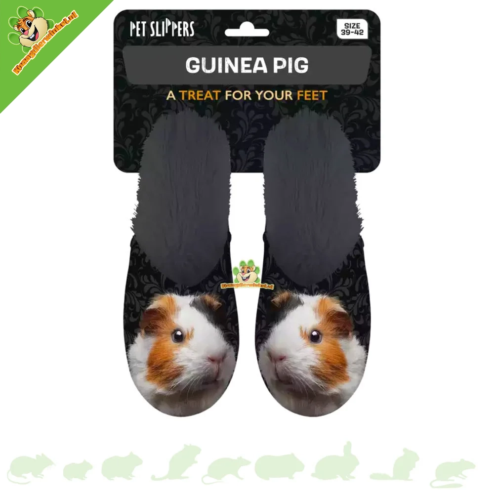 Chaussons Cochon d'Inde Noir