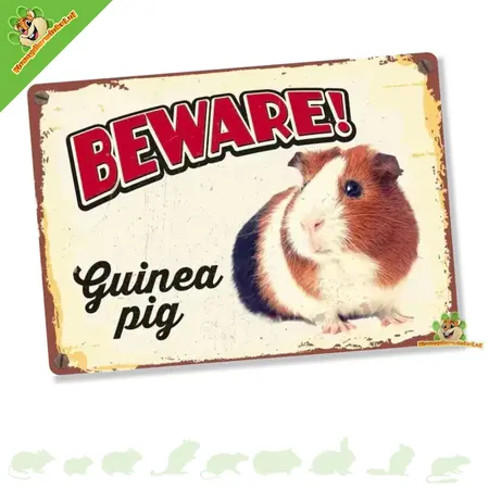 Warning sign Guinea pig tin Beware