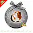 Bauble Silver Christmas Ball Guinea Pig