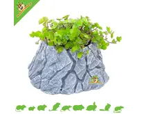 Hamsterscaping Plantenpot Rots voor Knaagdieren & Konijnen!
