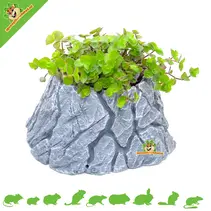 Soporte para plantas de roca Hamsterscaping de 24 cm