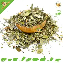 Feuilles de mûres séchées
