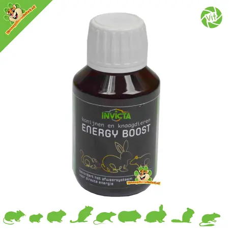 Energy Boost Rodent & Rabbit 100 ml