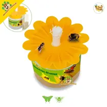 Insect Source