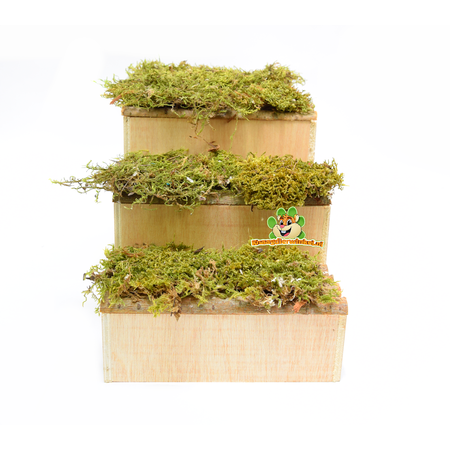 OUTLET Wooden Stair House 42 cm for Rodents!