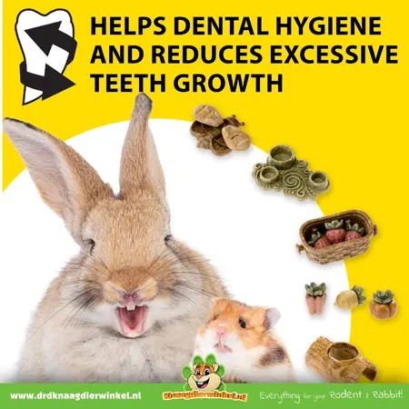 Ferplast Maison Natural Veggie Bites avec gamelle pour petits rongeurs